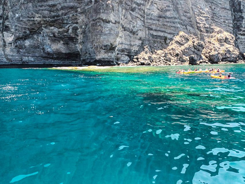 Whale and Dolphin Watching Sailing Tour – Los Gigantes (3H) - Who Should Book This Tour (and Who Might Want Another Option)