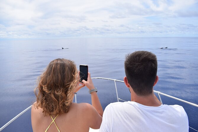 Whale and Dolphin Watching Tour in Madeira - Swim and snorkel along Madeira’s rocky coastline