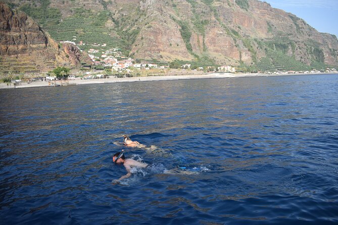 Whale and Dolphin Watching Tour in Madeira - What onboard includes (and why it matters)