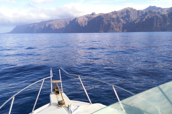 Whale and dolphin watching tour Los Gigantes and Masca in small groups - Price and value: what $96.11 buys you