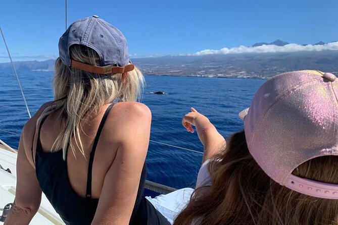 Whale and Dolphin Watching Yacht Trip in Puerto Colon - Timing Options: daytime cruises versus the 19:00 sunset plan