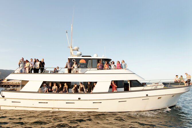 Whale and Wildlife Yacht Cruise in Santa Barbara - Why the Santa Barbara Channel Is Such a Good Whale-Watching Zone