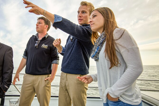 Whale and Wildlife Yacht Cruise in Santa Barbara - What the Yacht Cruise Actually Feels Like on the Water