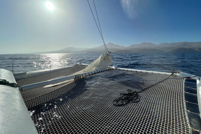 Whale & Dolphin Observation on Silent Catamaran with Hydrophone - Key things to know before you go