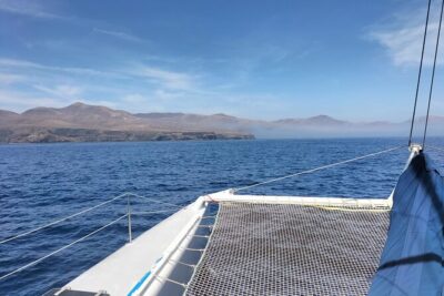 Whale & Dolphin Observation on Silent Catamaran with Hydrophone - Getting to the meeting point and boarding at 9:00 am