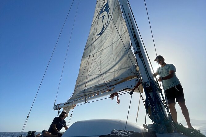 Whale & Dolphin Observation on Silent Catamaran with Hydrophone - The hydrophone: what you can expect, and how to maximize it