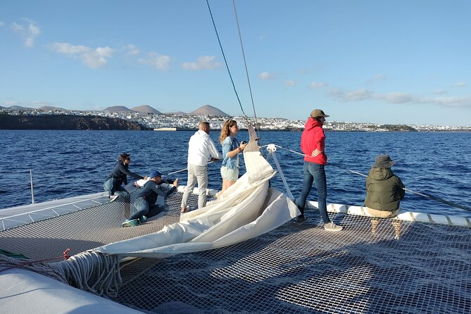 Whale & Dolphin Observation on Silent Catamaran with Hydrophone - Price and value: is $114.65 worth it?