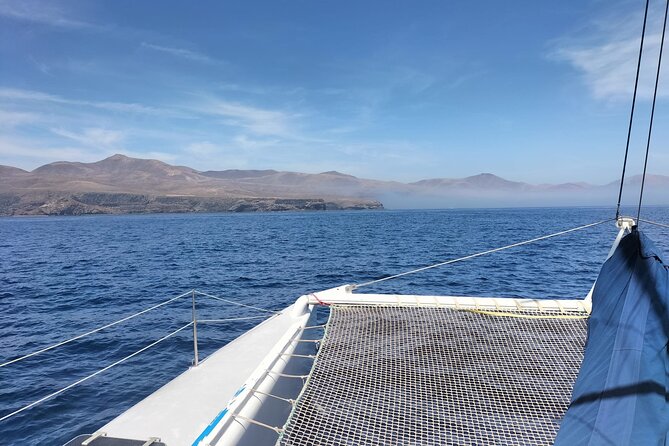 Whale & Dolphin Observation on Silent Catamaran with Hydrophone - Getting to the meeting point and boarding at 9:00 am