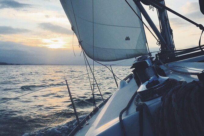 Whale & Dolphin Watching Boat Trip in Tenerife On a Sailing Boat (3 Hr) - Puerto Colón Start Point: Get Oriented Fast