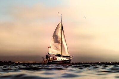 Whale & Dolphin Watching Boat Trip in Tenerife On a Sailing Boat (3 Hr) - Sailing for Whales and Dolphins: What Your Skipper Is Really Doing