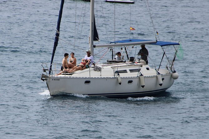 Whale & Dolphin Watching Boat Trip in Tenerife On a Sailing Boat (3 Hr) - Onboard Food, Snacks, and an Open Bar That Actually Helps