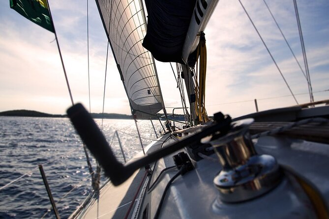 Whale & Dolphin Watching Boat Trip in Tenerife On a Sailing Boat (3 Hr) - Price and Value: Is $52.35 a Good Deal?