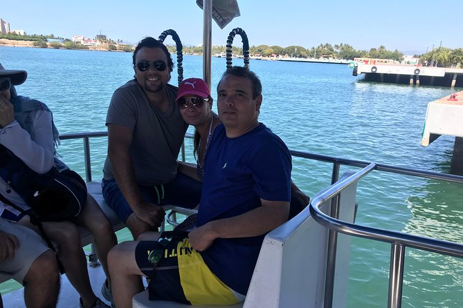 Whale & Dolphin Watching Cruise in Puerto Vallarta All Inclusive - Meeting Point and Getting to the Right Boat Without Stress