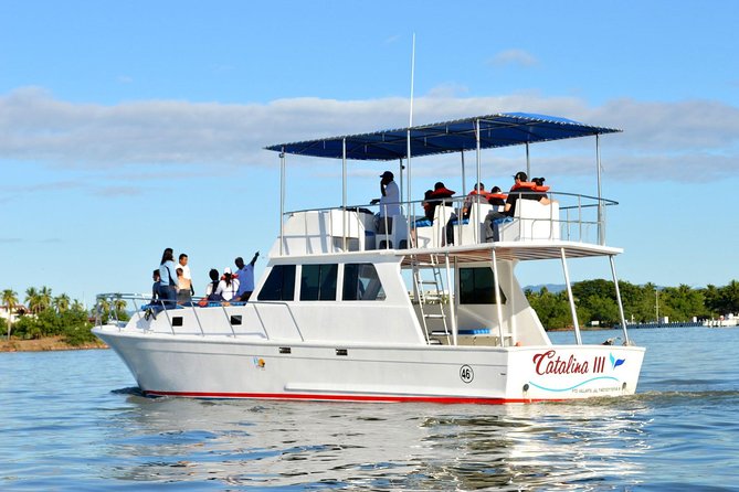 Whale & Dolphin Watching Cruise in Puerto Vallarta All Inclusive - Boat Comfort and Sea Conditions: Rough Water Is Still Water