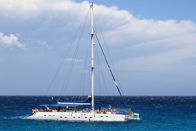 Whale & Dolphin Watching in Tenerife (Puerto Colon) On a Large Catamaran - Key highlights before you go