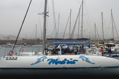 Whale & Dolphin Watching With Mustcat Virgin Coast Trip On a Large Catamaran - Onboard Catamaran Experience: Comfort, Capacity, and Crew Energy