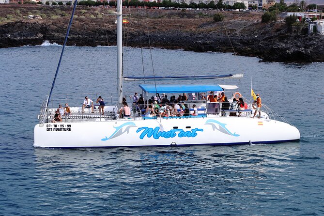 Whale & Dolphin Watching With Mustcat Virgin Coast Trip On a Large Catamaran - The Swim Stop in the Bay: The Best Part for Many People