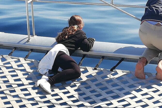 Whale & Dolphin Watching With Mustcat Virgin Coast Trip On a Large Catamaran - When You Might See Whales but Not Dolphins (And What to Do About It)