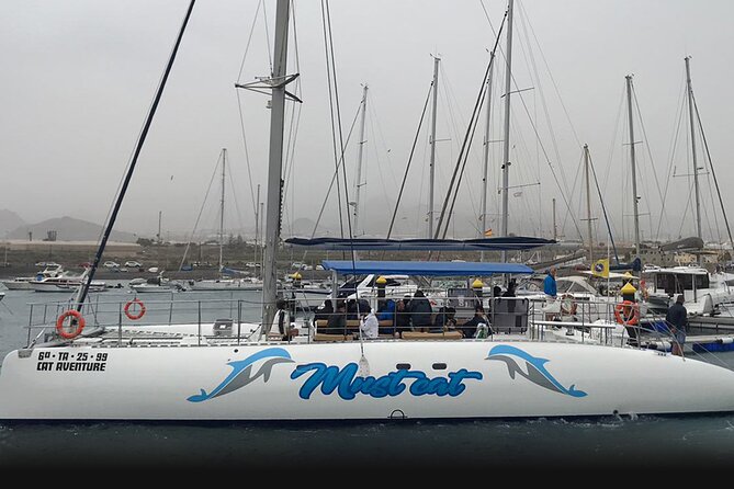 Whale & Dolphin Watching With Mustcat Virgin Coast Trip On a Large Catamaran - Onboard Catamaran Experience: Comfort, Capacity, and Crew Energy