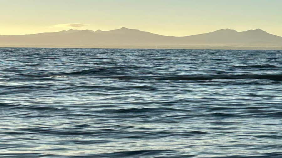 Whale & Dolphins Swimming - Private Speedboat Exclusive Tour - Who Should Book This (and Who Might Not Love It)
