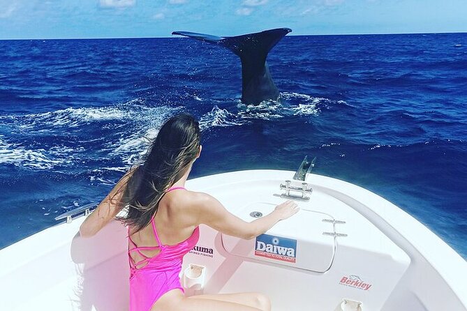 Whale Dream ltd - Whales watching and swim with dolphins - Snorkeling on board: gear included, and it changes your payoff