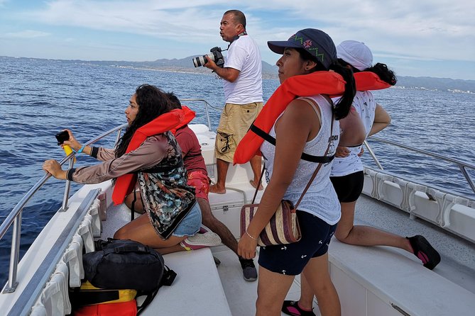 Whale Encounter Puerto Vallarta - Price and what you actually get for $99