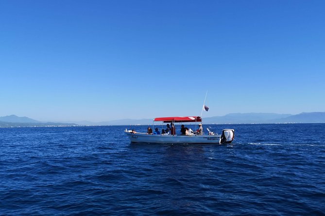 Whale Encounter Puerto Vallarta - Using the hydrophone: hearing whales beyond what your eyes can catch