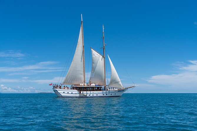 Whale's Tale Day Cruise from Port Denarau - Key things to know before you go