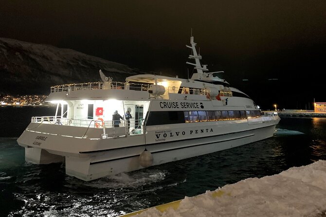 Whale Safari in Tromso - Whale Safari in Tromsø: what you’re really paying for