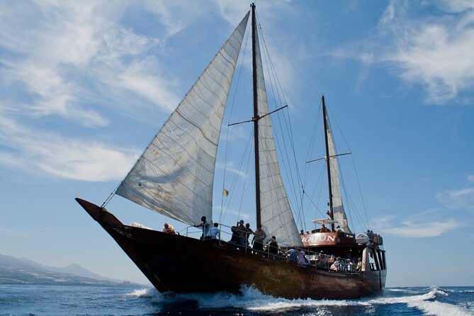 Whale Safari to Los Gigantes with pickup from North - Lunch on board with wine and beer: good value, simple fare