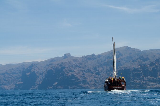 Whale Safari to Los Gigantes with pickup from North - Playa del Duque return and the southwest-coast storytelling