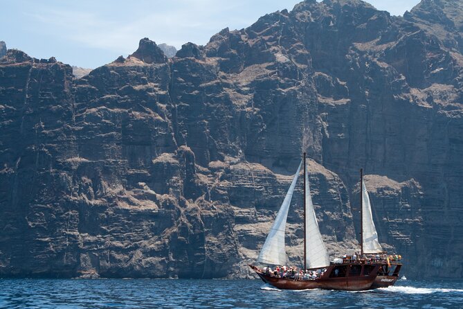 Whale Safari to Los Gigantes with pickup from North - Who should book (and who should choose another)