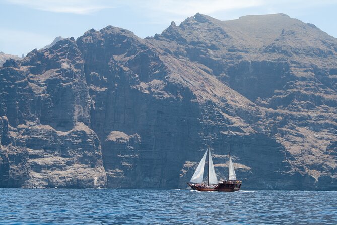 Whale Safari to Los Gigantes with pickup from North - On the Shogun schooner: what that 5-hour cruise feels like