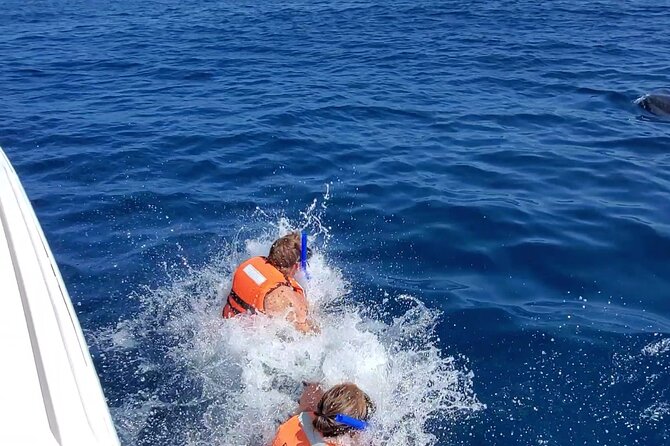 Whale Shark Adventure in Isla Mujeres and Cancun - The boat ride across the Caribbean: fun, long, and open ocean