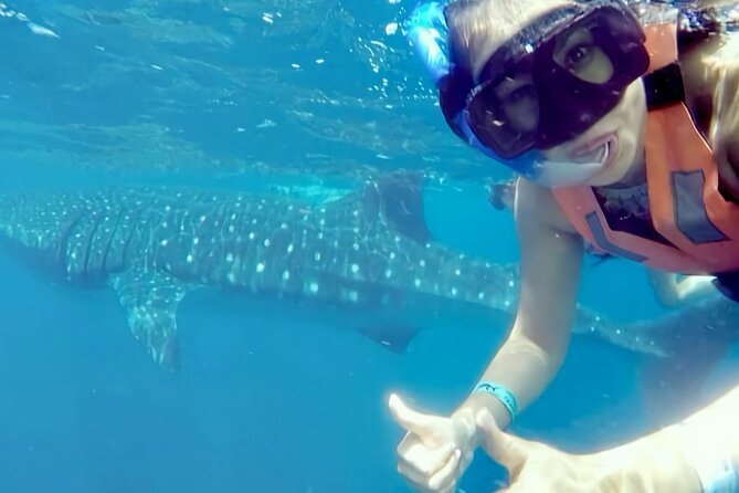 Whale Shark Adventure in Isla Mujeres and Cancun - Isla Mujeres time: lunch, ceviche, and a calmer stop
