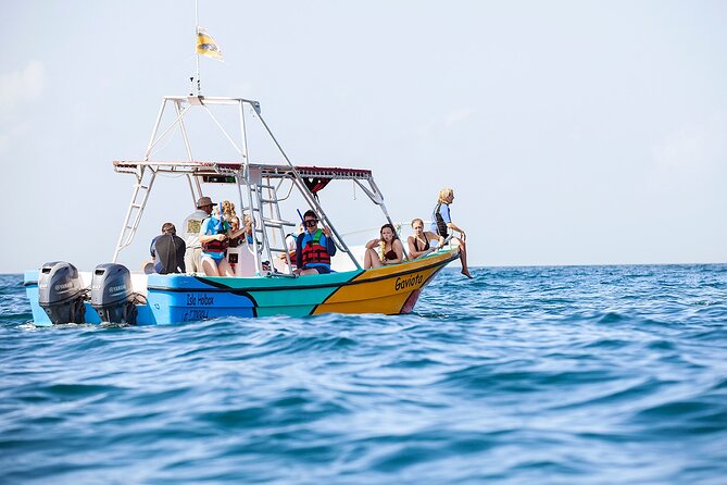 Whale Shark and Snorkeling Adventure from Isla Holbox - Price and value: what you’re actually paying for