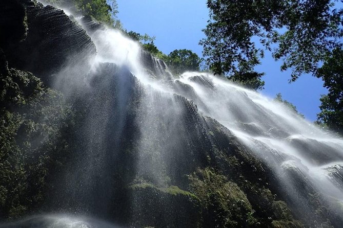 Whale Shark Encounter and Sumilon Sandbar with Kawasan Falls - Tumalog Falls: A Quick Dip, Included Entrance, and Fishy Nibbles