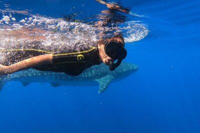 Whale Shark Encounter Full-Day all inclusive Tour from Riviera Maya - Isla Mujeres and Playa Norte: A Pretty Finish With One Big Real-World Limit
