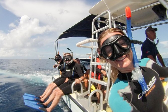 Whale shark encounter Private tour - swim with whale shark cancun - Gear, Comfort, and What to Bring (So You Enjoy the Water)