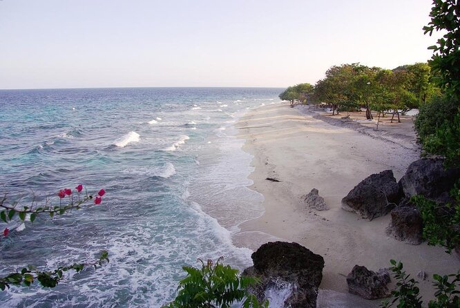Whale Shark Encounter & Sumilon Sandbar & Canyoneering in Kawasan Falls - Key things to know before you go