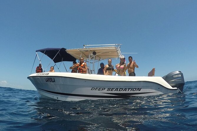 Whale Shark Experience from Playa del Carmen - The Whale Shark Encounter: Close-Up, Not Chaos
