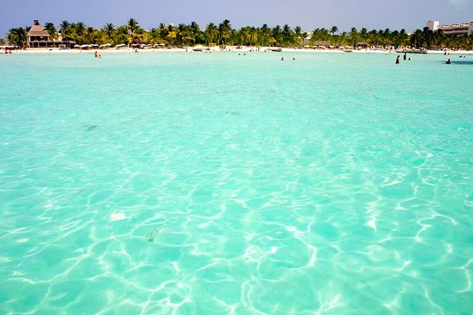 Whale Shark Experience Lifetime Memory in Cancun (snack included) - Isla Mujeres Playa Norte: Lunch, Snack Time, and Beach Reality