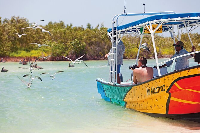 Whale Shark Group Adventure from Isla Holbox - Who This Tour Fits Best (and Who Might Want Another Option)