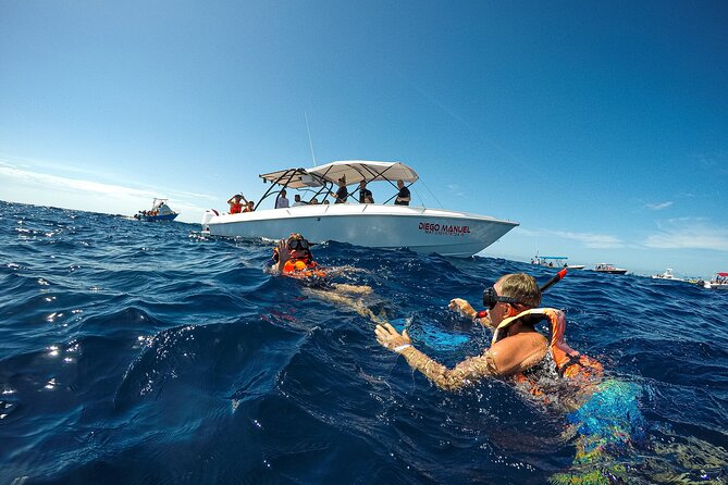 Whale Shark Snorkeling Adventure with Lunch - Who should book—and who should skip this format