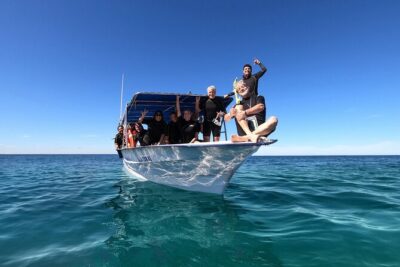 Whale Shark Snorkeling Experience from Cancun and Riviera Maya - Getting Into the Water: The Safety Briefing and Guide Team