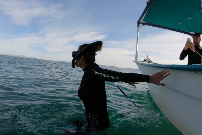 Whale Shark Swimming Adventure: Small Group with Marine Biologist - Finding a cooperative whale shark (and why your swim time is limited)