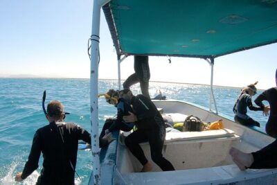 Whale Shark Swimming Adventure: Small Group with Marine Biologist - The boat ride to the Whale Shark Protected Area