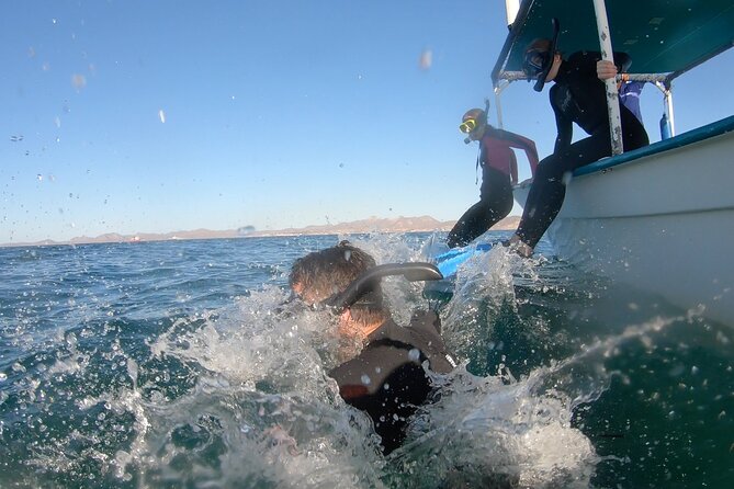 Whale Shark Swimming Adventure: Small Group with Marine Biologist - Wetsuit comfort and what to bring (since towels and sunscreen aren’t included)