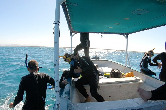 Whale Shark Swimming Adventure: Small Group with Marine Biologist - The boat ride to the Whale Shark Protected Area