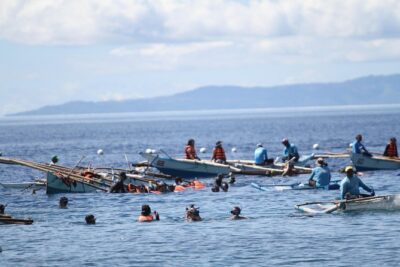 Whale Shark Swimming Experience and Aguinid Falls from Cebu - Oslob whale sharks: your 30-minute snorkel plan